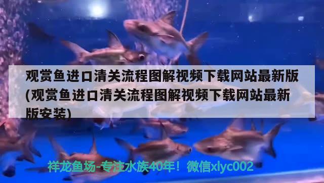 大魚缸安裝流程圖視頻：大魚缸的安裝方法 廣州水族批發(fā)市場 第2張