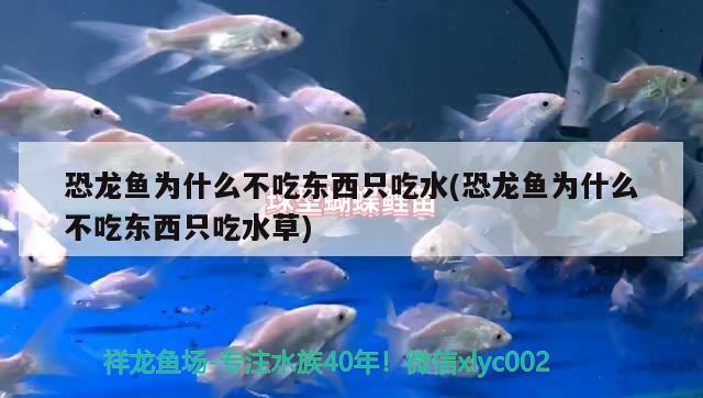 大魚缸安裝流程圖視頻：大魚缸的安裝方法 廣州水族批發(fā)市場 第1張