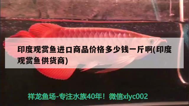 魚缸滲水怎么補(bǔ)漏水視頻：魚缸滲水怎么補(bǔ)漏水視頻講解