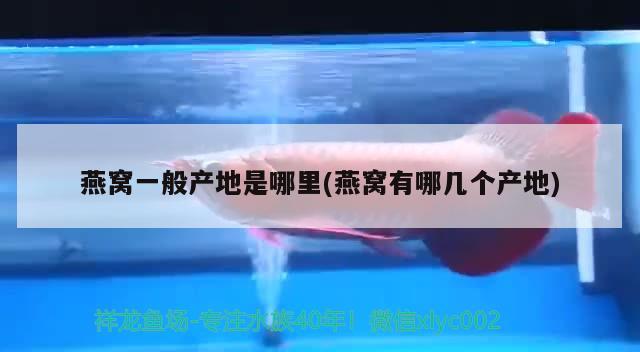 金龍魚廠家業(yè)務(wù)待遇如何（山東圣和塑膠發(fā)展有限公司怎么樣） 印尼虎苗 第2張