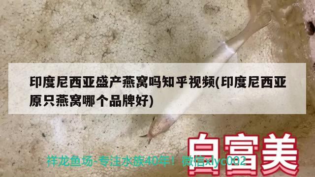 礦泉水桶自制魚缸過濾器教程：礦泉水瓶制作魚缸過濾器方法是怎樣的