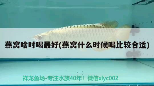 十五噸池子養(yǎng)水完畢 魚缸等水族設(shè)備 第2張