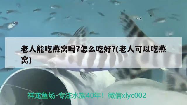 江津金龍魚(yú)怎么樣好吃嗎視頻教程：金龍魚(yú)重慶