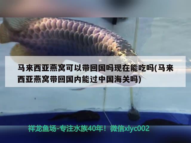 江津金龍魚(yú)怎么樣好吃嗎視頻教程：金龍魚(yú)重慶