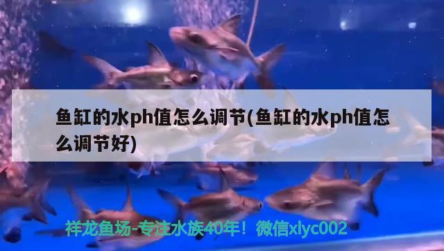 魚缸的水ph值怎么調(diào)節(jié)(魚缸的水ph值怎么調(diào)節(jié)好)