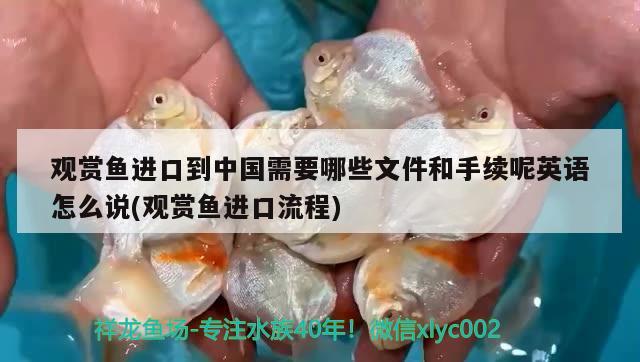 觀賞魚進(jìn)口到中國需要哪些文件和手續(xù)呢英語怎么說(觀賞魚進(jìn)口流程)