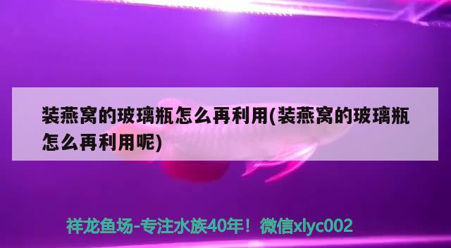 裝燕窩的玻璃瓶怎么再利用(裝燕窩的玻璃瓶怎么再利用呢) 馬來西亞燕窩