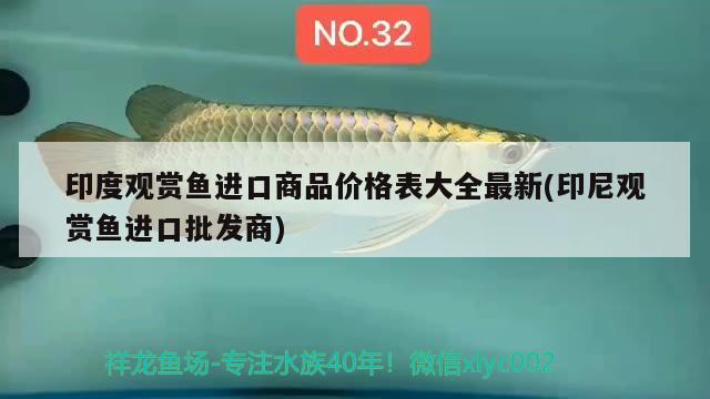 印度觀賞魚進(jìn)口商品價格表大全最新(印尼觀賞魚進(jìn)口批發(fā)商) 觀賞魚進(jìn)出口