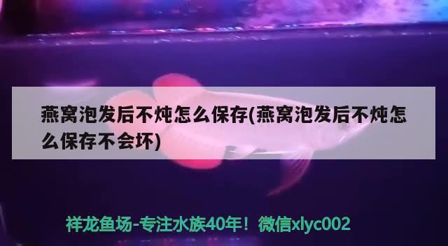 燕窩泡發(fā)后不燉怎么保存(燕窩泡發(fā)后不燉怎么保存不會壞) 馬來西亞燕窩