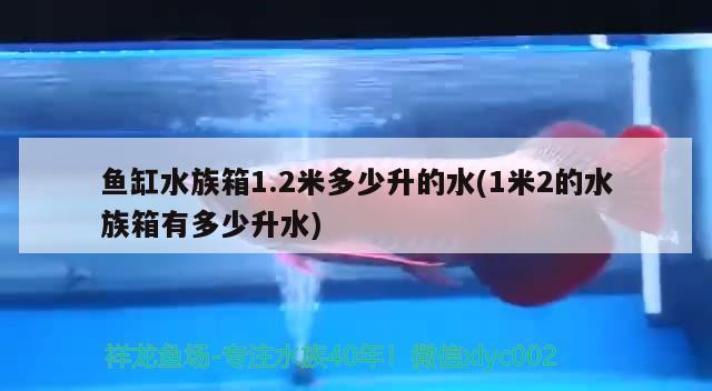 魚缸水族箱1.2米多少升的水(1米2的水族箱有多少升水) 魚缸/水族箱