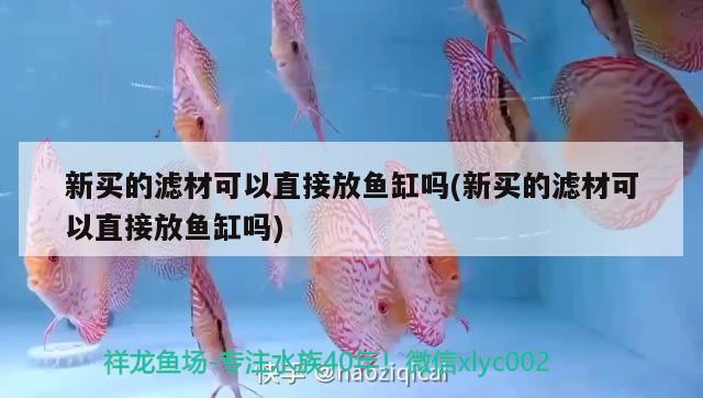 新買的濾材可以直接放魚缸嗎(新買的濾材可以直接放魚缸嗎) 鸚鵡魚