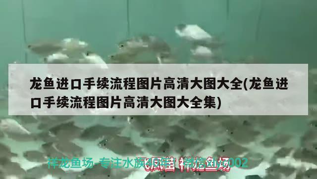 悠然居黑水潑、黃金虎、孔雀劍沙、雙印劍沙 食人魚（水虎） 第3張