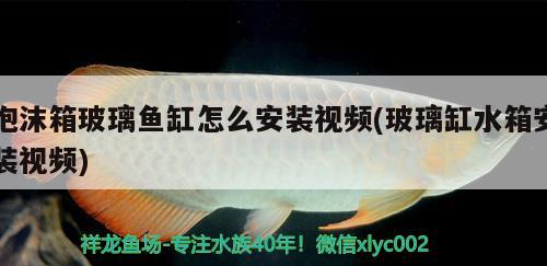 泡沫箱玻璃魚(yú)缸怎么安裝視頻(玻璃缸水箱安裝視頻) 水族用品 第2張