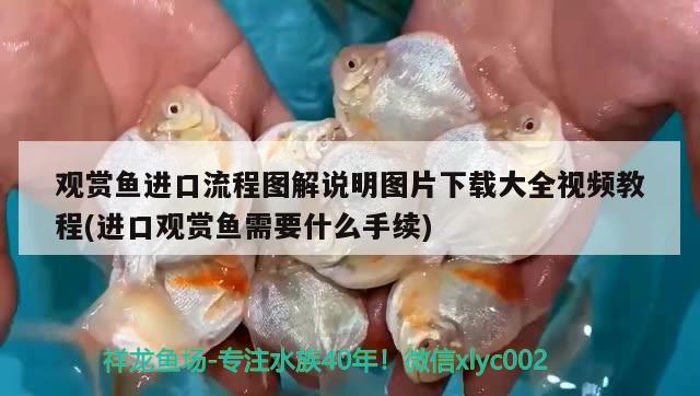 客廳魚缸擺放位置圖：客廳魚缸擺放位置圖片