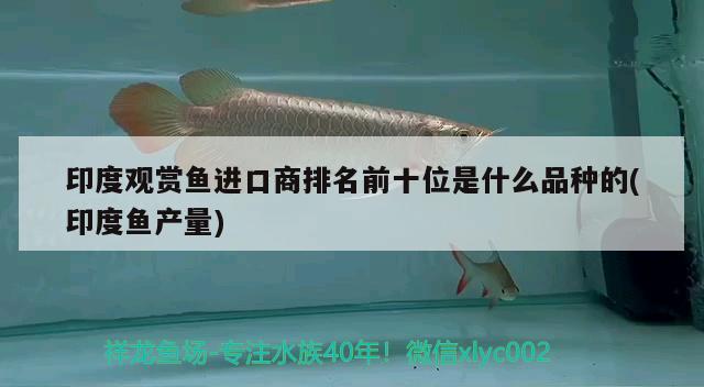 印度觀賞魚進(jìn)口商排名前十位是什么品種的(印度魚產(chǎn)量)