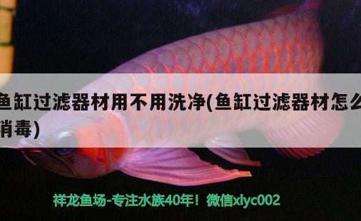 魚缸過濾器材用不用洗凈(魚缸過濾器材怎么消毒)