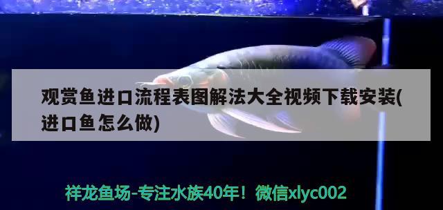 廣州魚缸定做廠家電話地址查詢價格和廣東魚缸廠家電話對應的信息，廣州賣塑料魚箱的地方在哪里