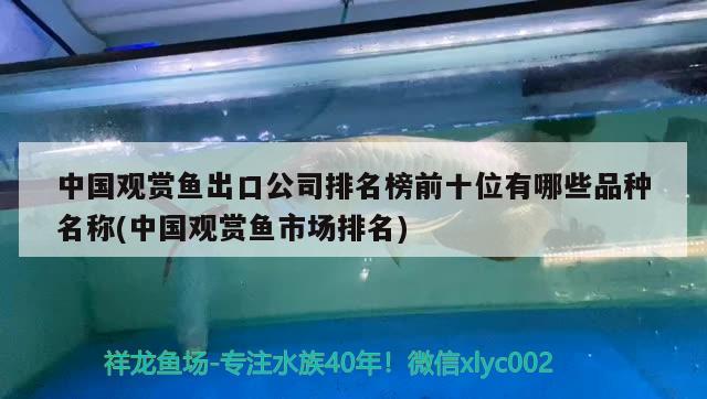 中國觀賞魚出口公司排名榜前十位有哪些品種名稱(中國觀賞魚市場排名)