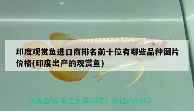 魚(yú)缸氧氣泵突然不冒泡（魚(yú)缸氧氣泵突然不冒泡了怎么辦） 充氧泵 第2張