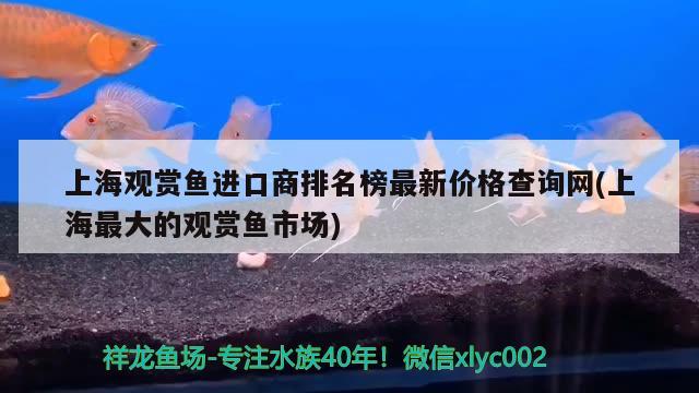 上海觀賞魚進口商排名榜最新價格查詢網(wǎng)(上海最大的觀賞魚市場)