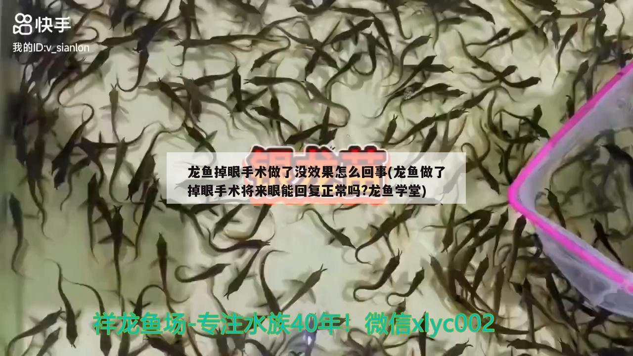 長條形魚缸造景效果圖片大全欣賞（長條形魚缸造景效果圖片大全欣賞視頻） 觀賞魚 第2張