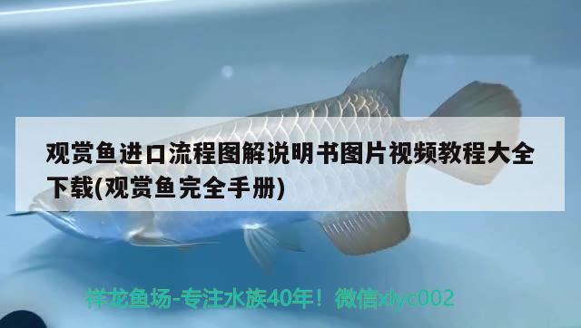 觀賞魚進(jìn)口流程圖解說明書圖片視頻教程大全下載(觀賞魚完全手冊) 觀賞魚進(jìn)出口