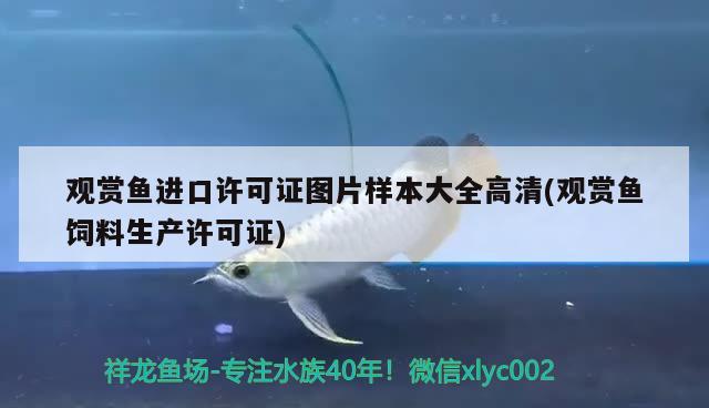 觀賞魚進口許可證圖片樣本大全高清(觀賞魚飼料生產(chǎn)許可證)