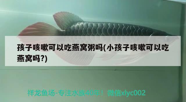 造型異形魚缸（異形魚缸如何布景） 其他品牌魚缸 第3張