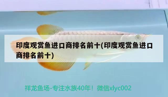 印度觀賞魚進口商排名前十(印度觀賞魚進口商排名前十) 觀賞魚進出口