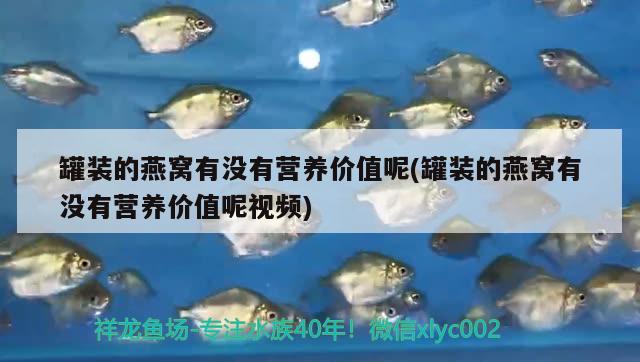 造型異形魚缸（異形魚缸如何布景） 其他品牌魚缸 第1張