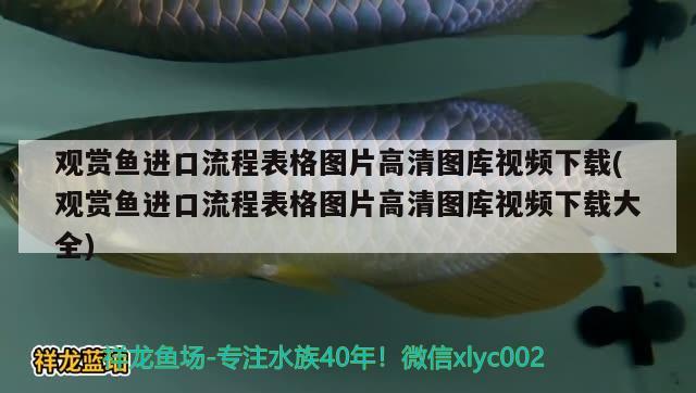 泡缸等待地柜回來就開干 一眉道人魚 第3張