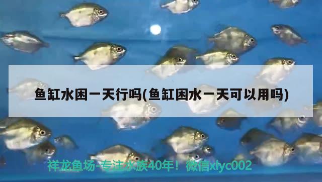 無蓋魚缸長1.5米寬40厘米高0.8米：探索水族愛好者的樂園魚缸布置，一個無蓋魚缸長1.5米寬40厘米高0.8米：探索水族愛好者的樂園魚缸布置