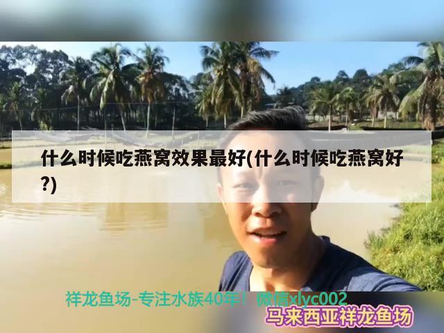 什么時候吃燕窩效果最好(什么時候吃燕窩好?) 馬來西亞燕窩