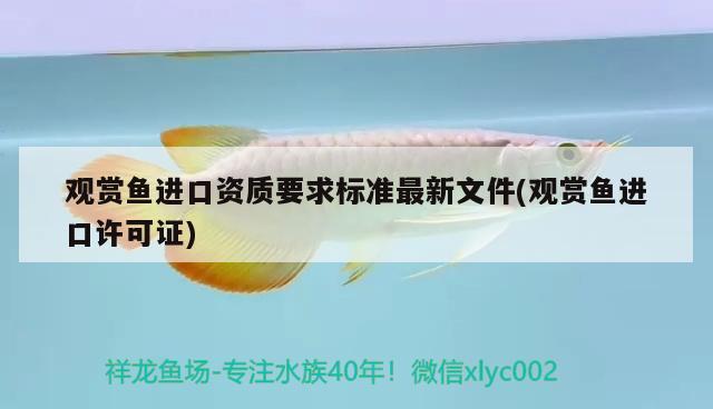 觀賞魚進口資質(zhì)要求標準最新文件(觀賞魚進口許可證) 觀賞魚進出口