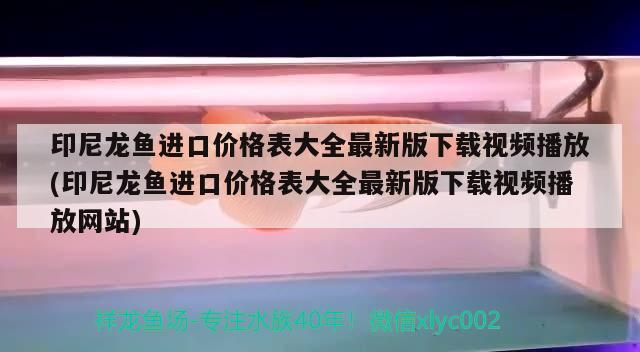 最好用的除藻劑，魚(yú)缸殺菌燈除藻真的有用嗎