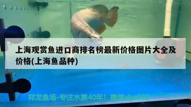 上海觀賞魚進口商排名榜最新價格圖片大全及價格(上海魚品種) 觀賞魚進出口