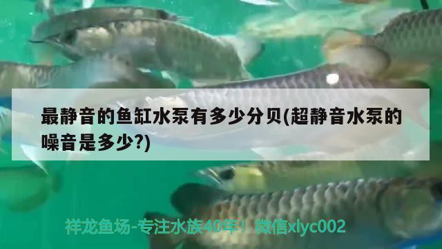 印尼進口燕窩品牌(印尼進口燕窩價格) 馬來西亞燕窩 第1張