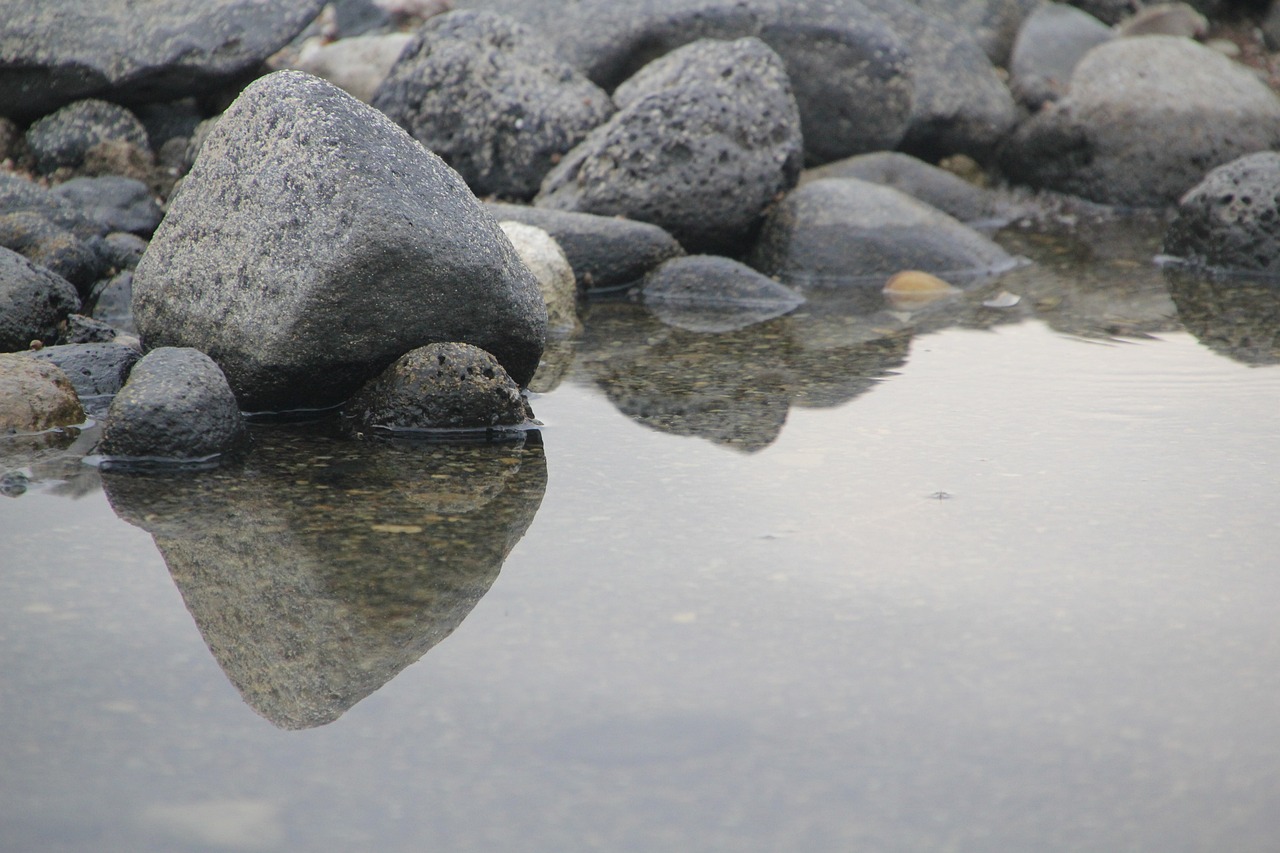 雷龍魚長黑斑怎么治(雷龍魚有黑點(diǎn))