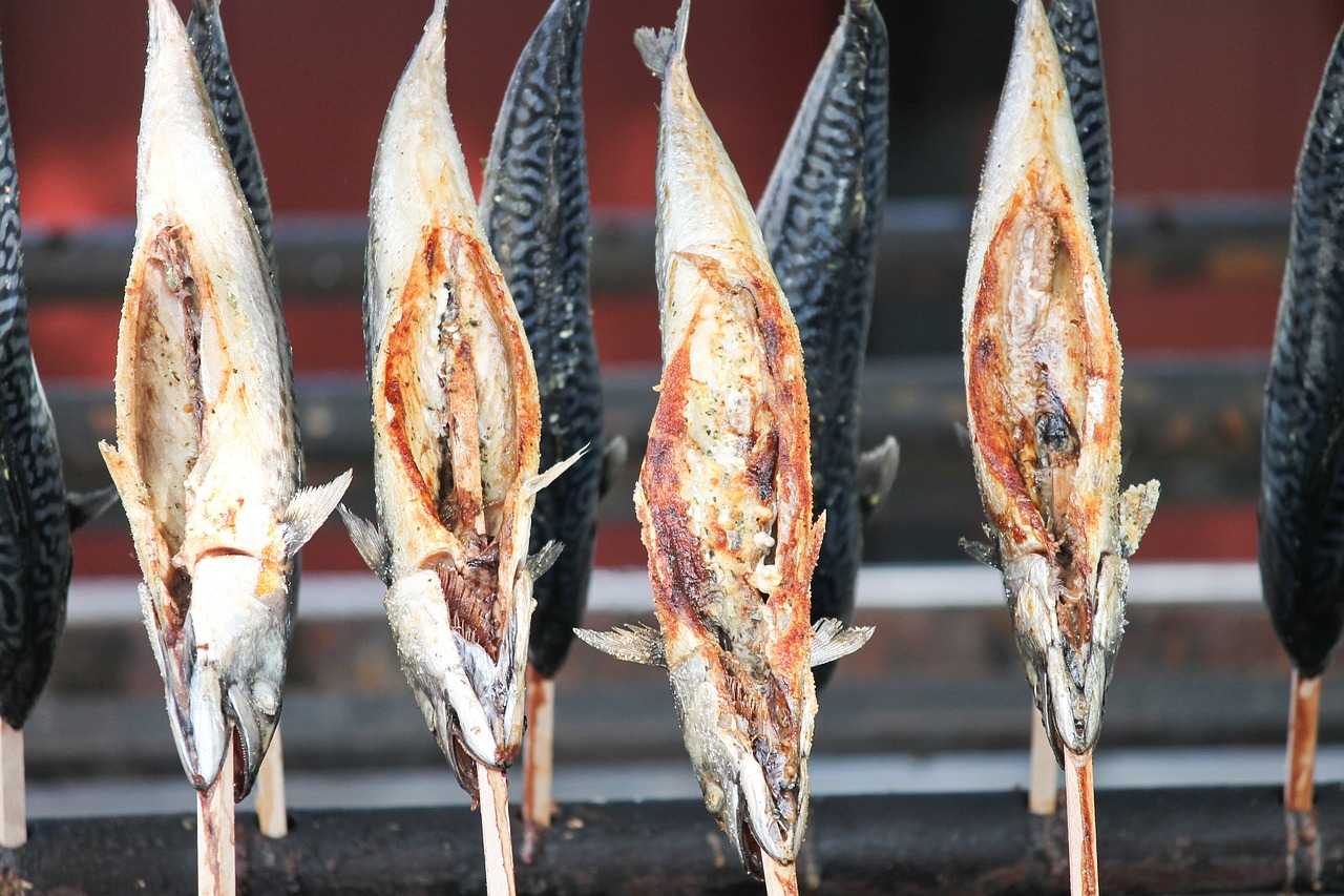 帝王三間魚能長多大，帝王三間魚可以吃泥鰍嗎 帝王三間魚 第3張