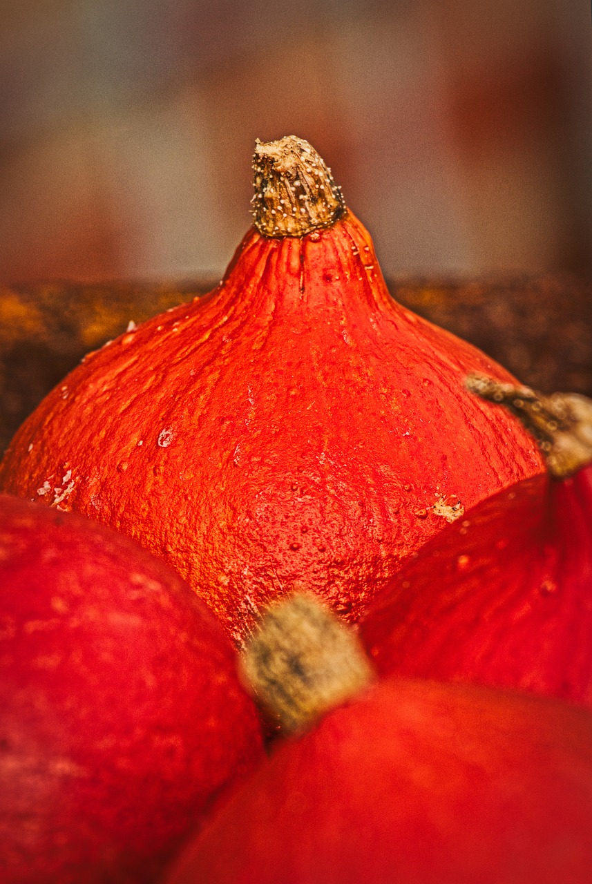 鶴頂紅為什么難養(yǎng)，鶴頂紅金魚怎么養(yǎng)