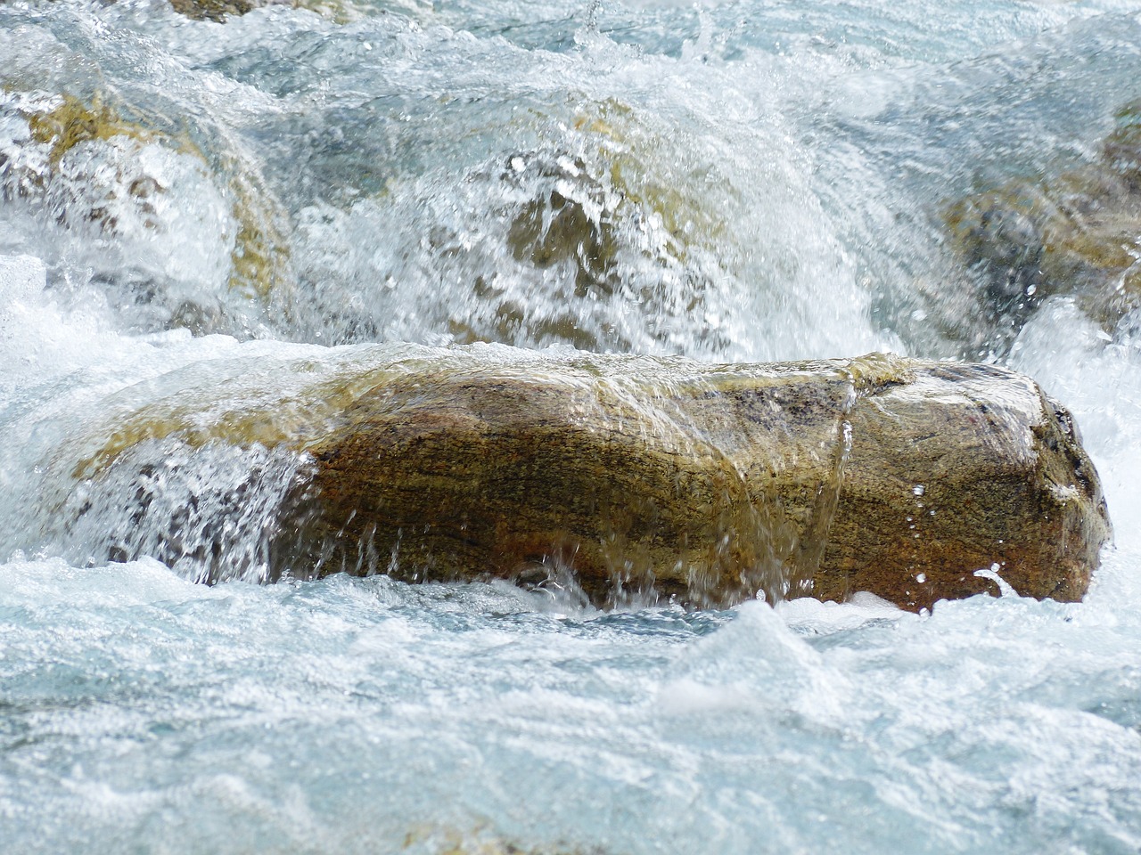 魚(yú)缸黃水變清小竅門(mén)：魚(yú)缸黃水應(yīng)該怎么去除魚(yú)缸黃水 養(yǎng)魚(yú)知識(shí) 第2張