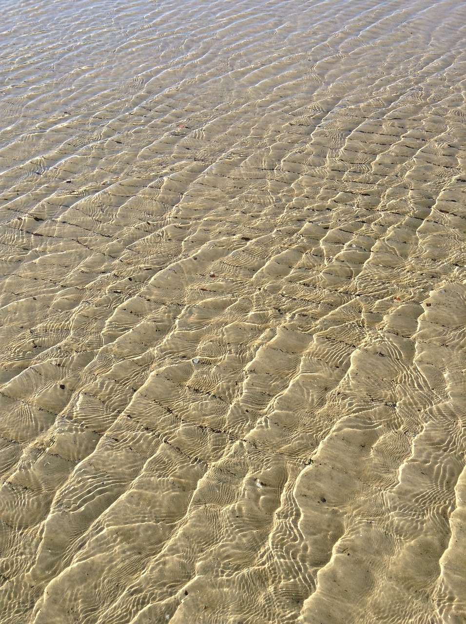 沙子魚缸造景及沙子石頭魚缸造景圖片沙子石頭魚缸造景圖片