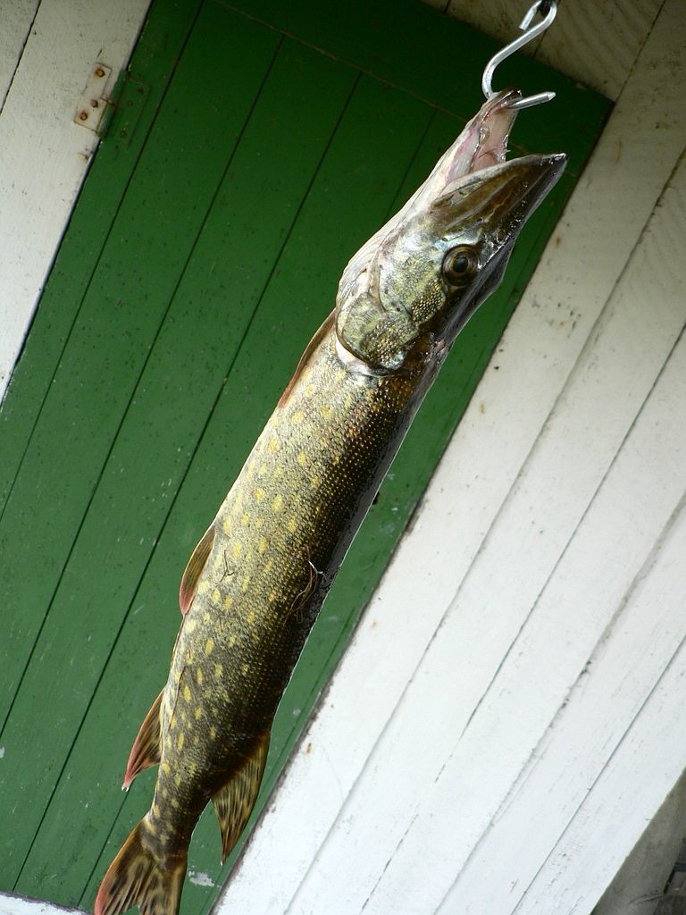 玄關(guān)鞋柜魚缸在哪買，蘇州定做魚缸廠家哪家質(zhì)量好