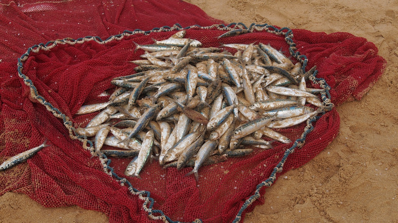 魚(yú)缸過(guò)濾器怎么安裝，魚(yú)缸過(guò)濾器圖片大全集 魚(yú)缸定做 第1張