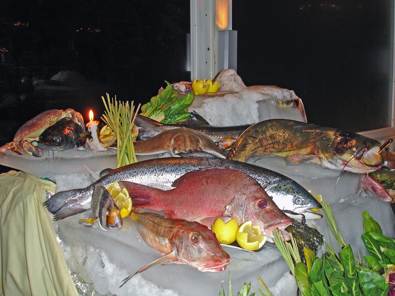 深圳觀賞魚創(chuàng)藝水族不錯(cuò)  觀賞魚市場(chǎng)（混養(yǎng)魚） 第1張