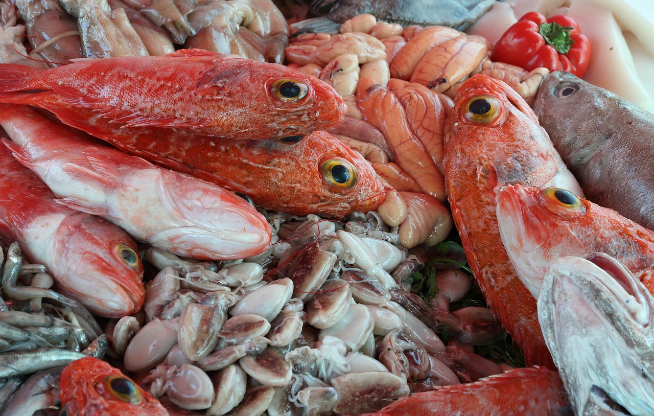 泰國魚可以帶回中國嗎（泰國買觀賞魚怎么帶回來） 觀賞魚 第2張