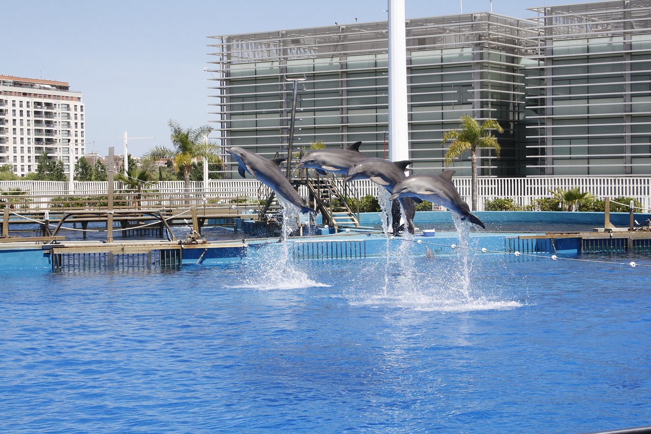 羅莊區(qū)大自然水族用品館 （羅莊區(qū)大自然水族用品館地址）