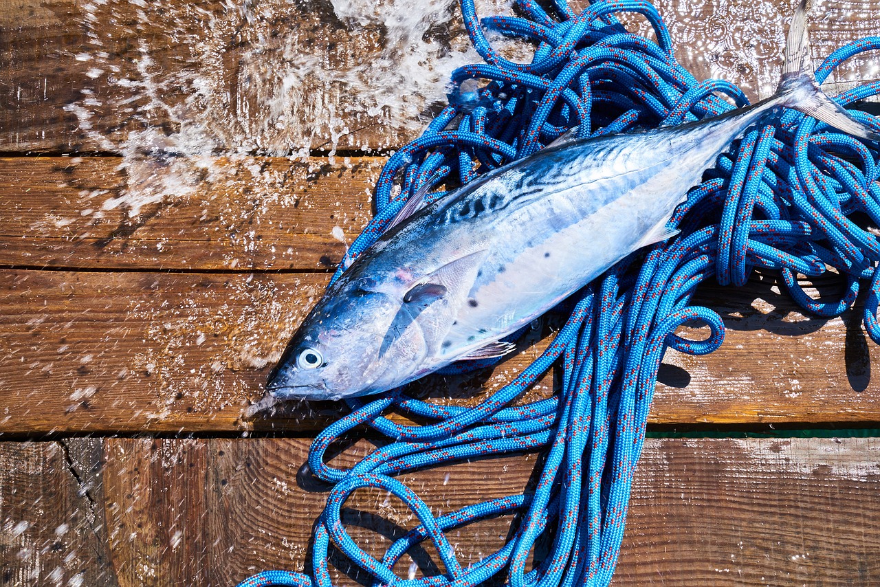 魚缸水質(zhì)過濾系統(tǒng)原理圖(魚缸過濾系統(tǒng)圖解順序) 祥龍傳奇品牌魚缸 第4張