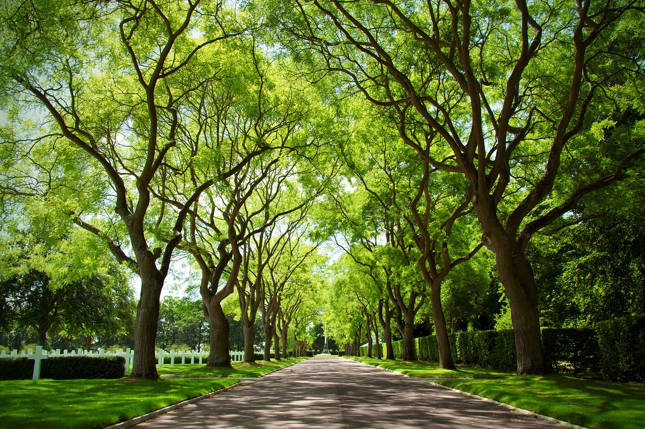 風景園林出國讀博得幾年 （風景園林出國讀博得幾年才能畢業(yè)） 廣州景觀設(shè)計 第1張