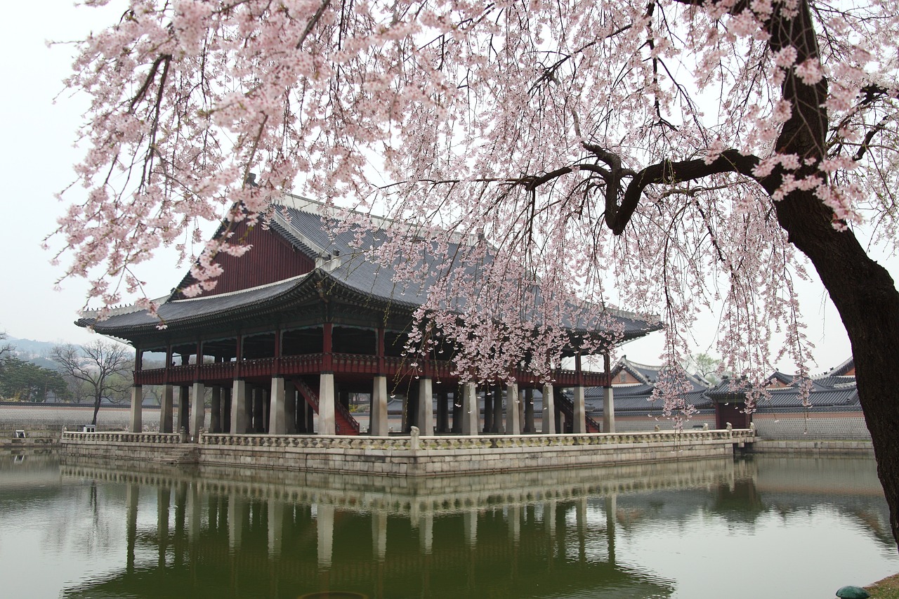 鞍山最大水族批發(fā)市場(chǎng)地址電話：鞍山最大水族批發(fā)市場(chǎng)地址電話是多少 觀賞魚(yú)水族批發(fā)市場(chǎng) 第1張